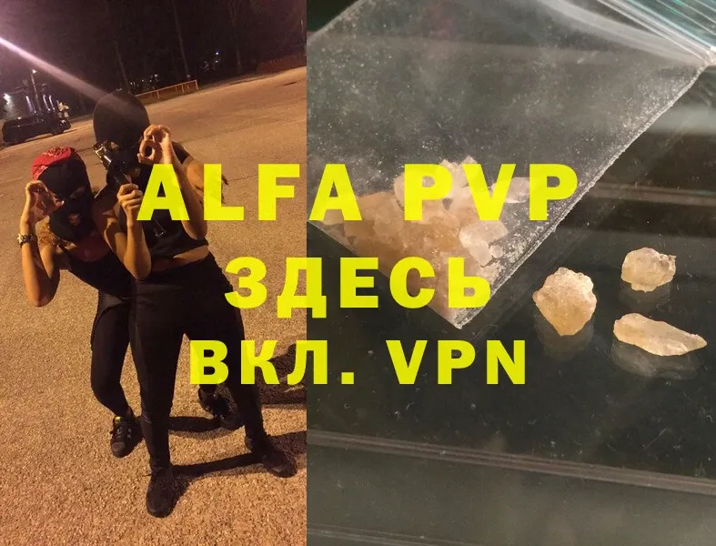 A PVP СК КРИС  Владивосток 