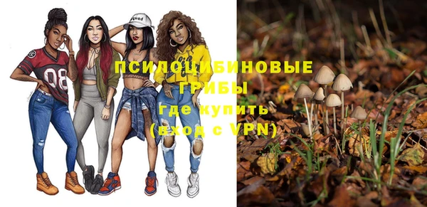 трава Надым
