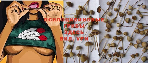 марихуана Нефтекумск