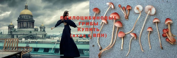 дживик Алагир