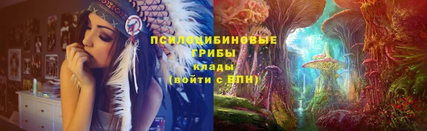 трава Надым