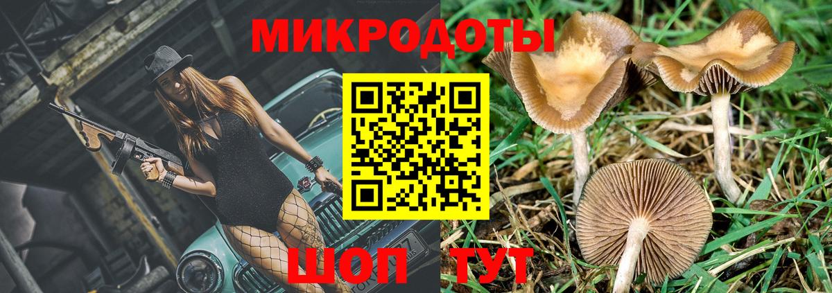 Псилоцибиновые грибы прущие грибы Владивосток