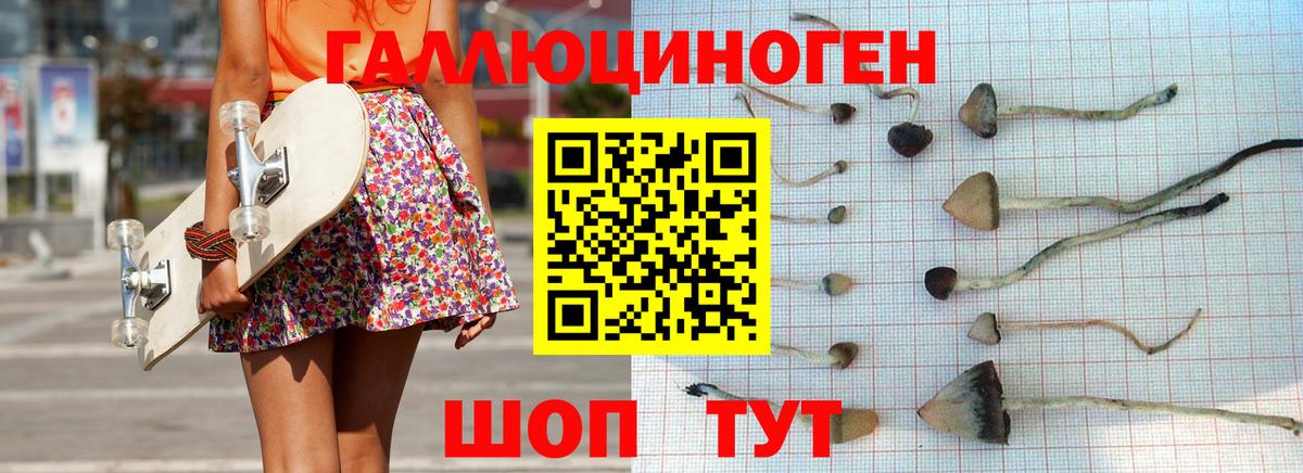 Псилоцибиновые грибы прущие грибы Владивосток