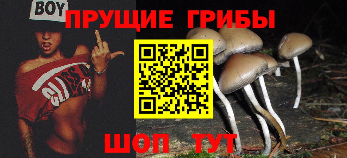 Галлюциногенные грибы Cubensis  Вход с VPN  Владивосток  Галлюциногенные грибы Cubensis 
